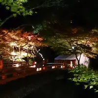 神護寺の写真・動画_image_11417