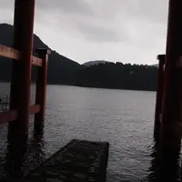 箱根神社の写真・動画_image_11430