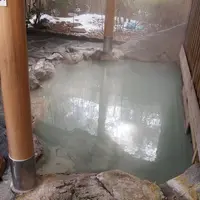 仙石原はたご一の湯の写真・動画_image_11431