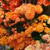 east side tokyoの写真・動画_image_114747