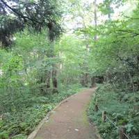 十和田神社の写真・動画_image_11525