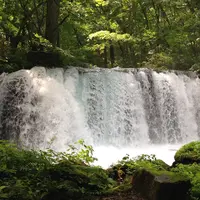 奥入瀬渓流　　の写真・動画_image_11526