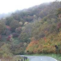 磐梯吾妻スカイラインの写真・動画_image_11537