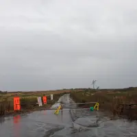 双葉町の写真・動画_image_11542