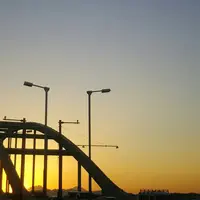 多摩川の写真・動画_image_115465
