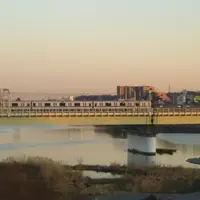 多摩川の写真・動画_image_115466