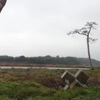 双葉町の写真・動画_image_11548
