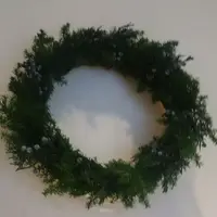 セテュヌボンニデー（C'est Une Bonne Idee）の写真・動画_image_115626