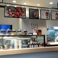 【閉業】エルカフェ 六本木ヒルズ店の写真・動画_image_115980
