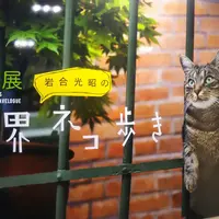 横浜情報文化センター（旧横浜商工奨励館）の写真・動画_image_116102