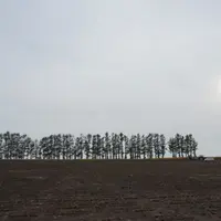 パッチワークの路の写真・動画_image_11622