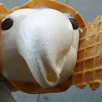 象の鼻カフェの写真・動画_image_116232