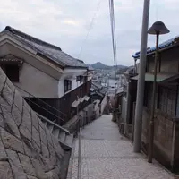 千光寺公園の写真・動画_image_11696