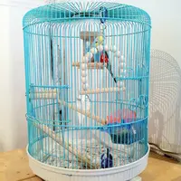 ギャラリー コンシール シブヤ（Gallery Conceal Shibuya）の写真・動画_image_11710