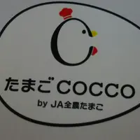 【閉業】たまごCOCCO by JA全農たまごの写真・動画_image_117417