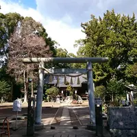 来宮神社の写真・動画_image_117463