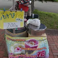 田沢湖郷土資料館の写真・動画_image_11779
