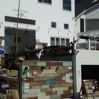 Sunny Funny Daysの写真・動画_image_118631
