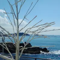Sunny Funny Daysの写真・動画_image_118632