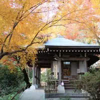 八幡山ロープウェーの写真・動画_image_11886