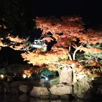 玄宮園の写真・動画_image_11915
