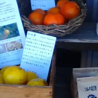 ビーチ・マフィン （BEACH MUFFIN）の写真・動画_image_119199