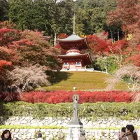 勝尾寺の写真・動画_image_11949