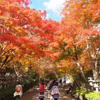 勝尾寺の写真・動画_image_11952