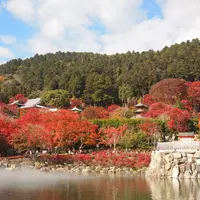 勝尾寺の写真・動画_image_11953