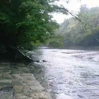 伊勢神宮内宮（皇大神宮）の写真・動画_image_12003