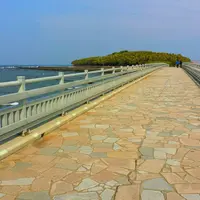 青島神社の写真・動画_image_120537