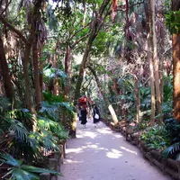 青島神社の写真・動画_image_120538