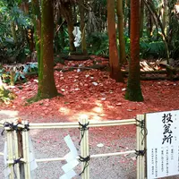 青島神社の写真・動画_image_120539