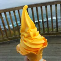 道の駅 フェニックスの写真・動画_image_120545