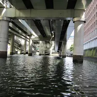 お江戸日本橋舟めぐりの写真・動画_image_12069
