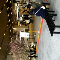 NEWoMan（ニュウマン）の写真・動画_image_121318