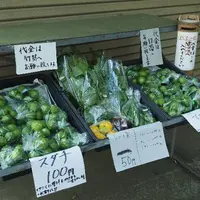 洒水の滝の写真・動画_image_12134