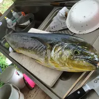 ＡＱＵＡ　ＶＩＬＬＡＧＥの写真・動画_image_12337