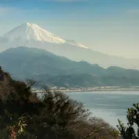 東海道由比宿おもしろ宿場館の写真・動画_image_123454