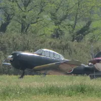 ホンダエアポートの写真・動画_image_1236