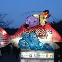 円山公園の写真・動画_image_12371