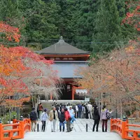 高野山の写真・動画_image_12421