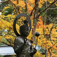 高野山の写真・動画_image_12423