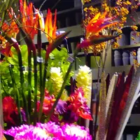 east side tokyoの写真・動画_image_125031