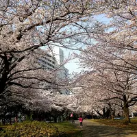 光が丘の写真・動画_image_125869