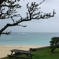 陶工房夢紅カフェの写真・動画_image_126035