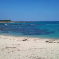 土盛海岸の写真・動画_image_126037