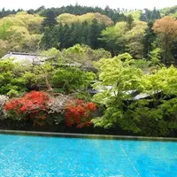 東府やベーカリー＆カフェの写真・動画_image_12620