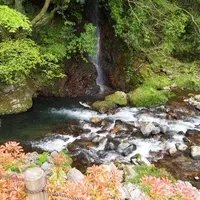 東府やベーカリー＆カフェの写真・動画_image_12621