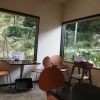 honohonocafeの写真・動画_image_12622